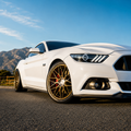 Why the F1R F103 Is One of the Most Popular Mesh Wheels for Modern Builds