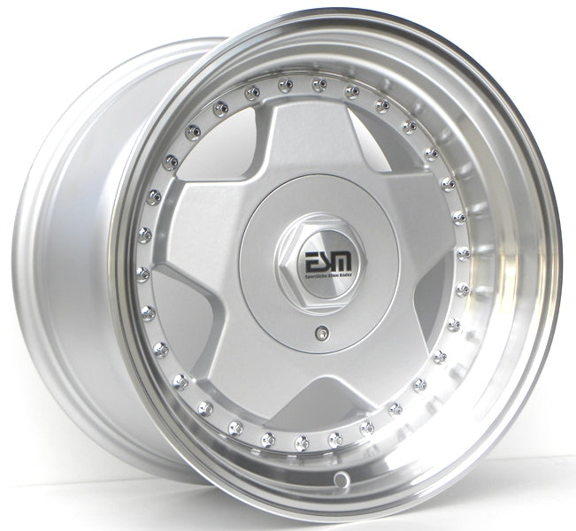 ESM-009R -009R
