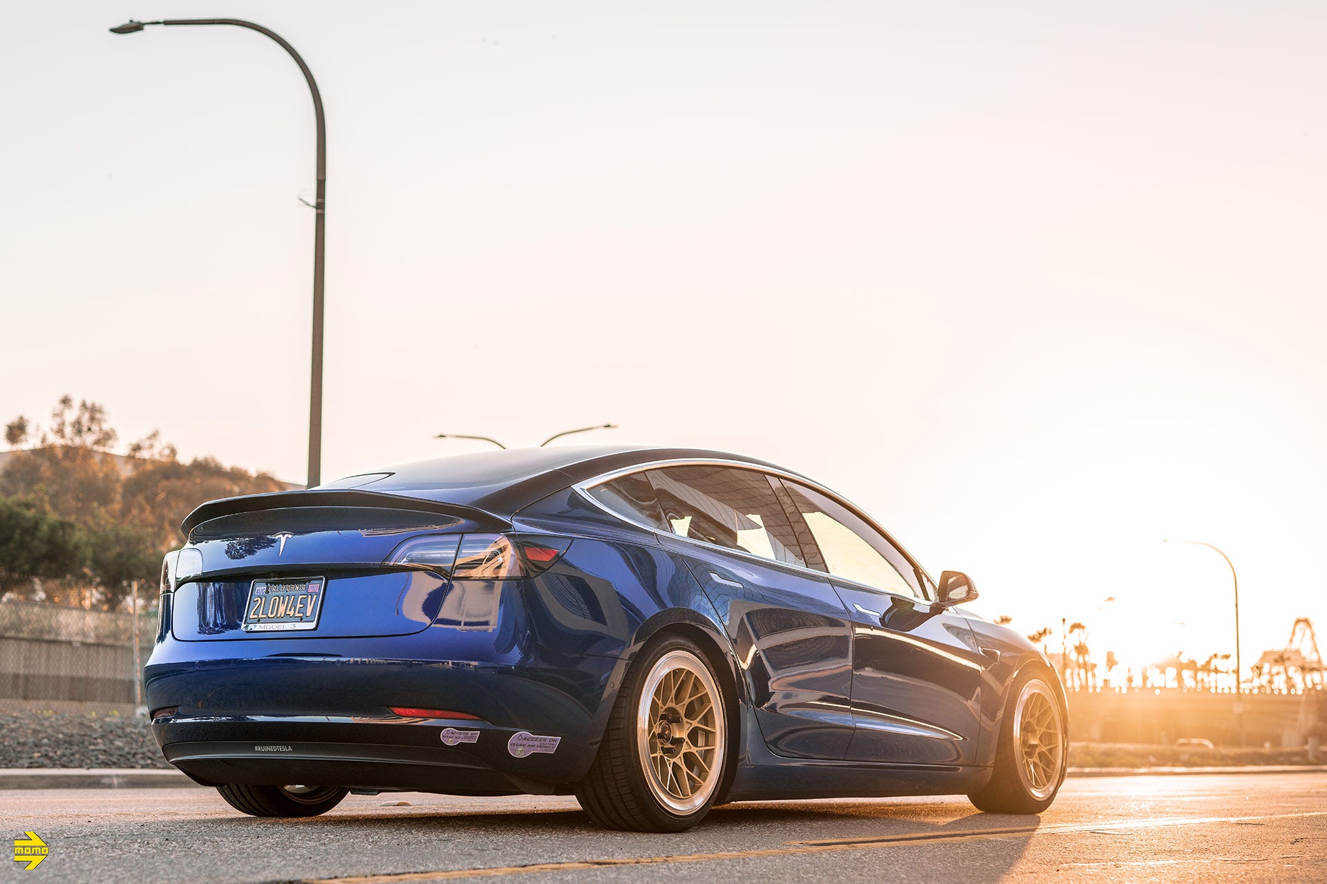 Momo Ferrara Gloss Gold- Tesla Model 3