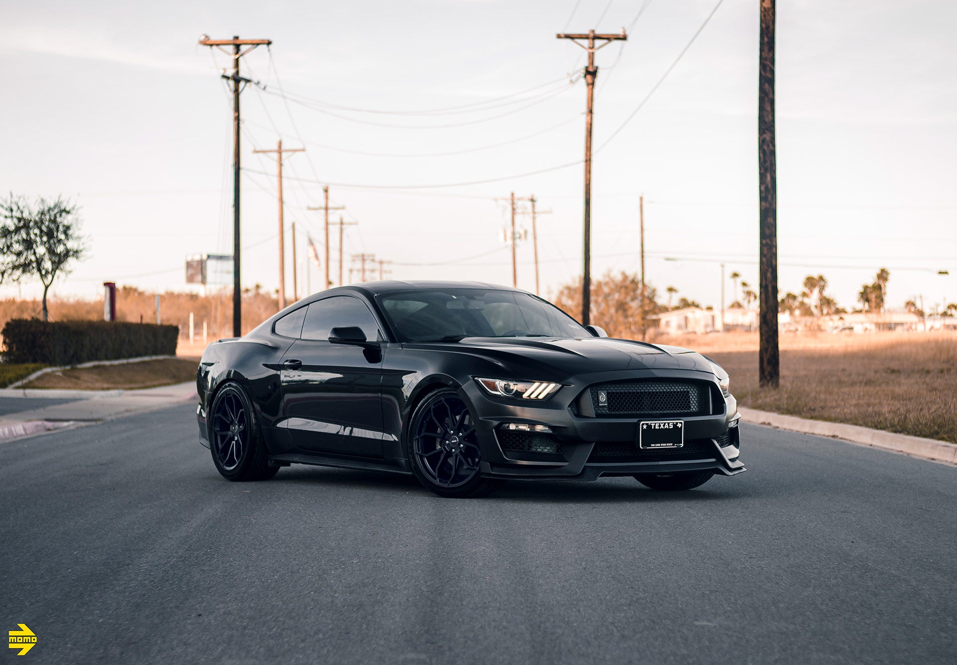 Ford Mustang S550 - MOMO Anzio Satin Black